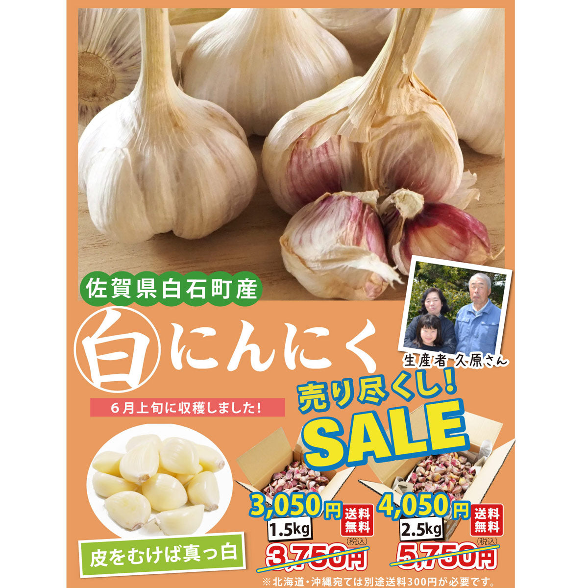 【SALE★割引中！】毎日、色んな料理に大活躍！！大容量★にんにく★＜佐賀県白石町ふくどみ産＞