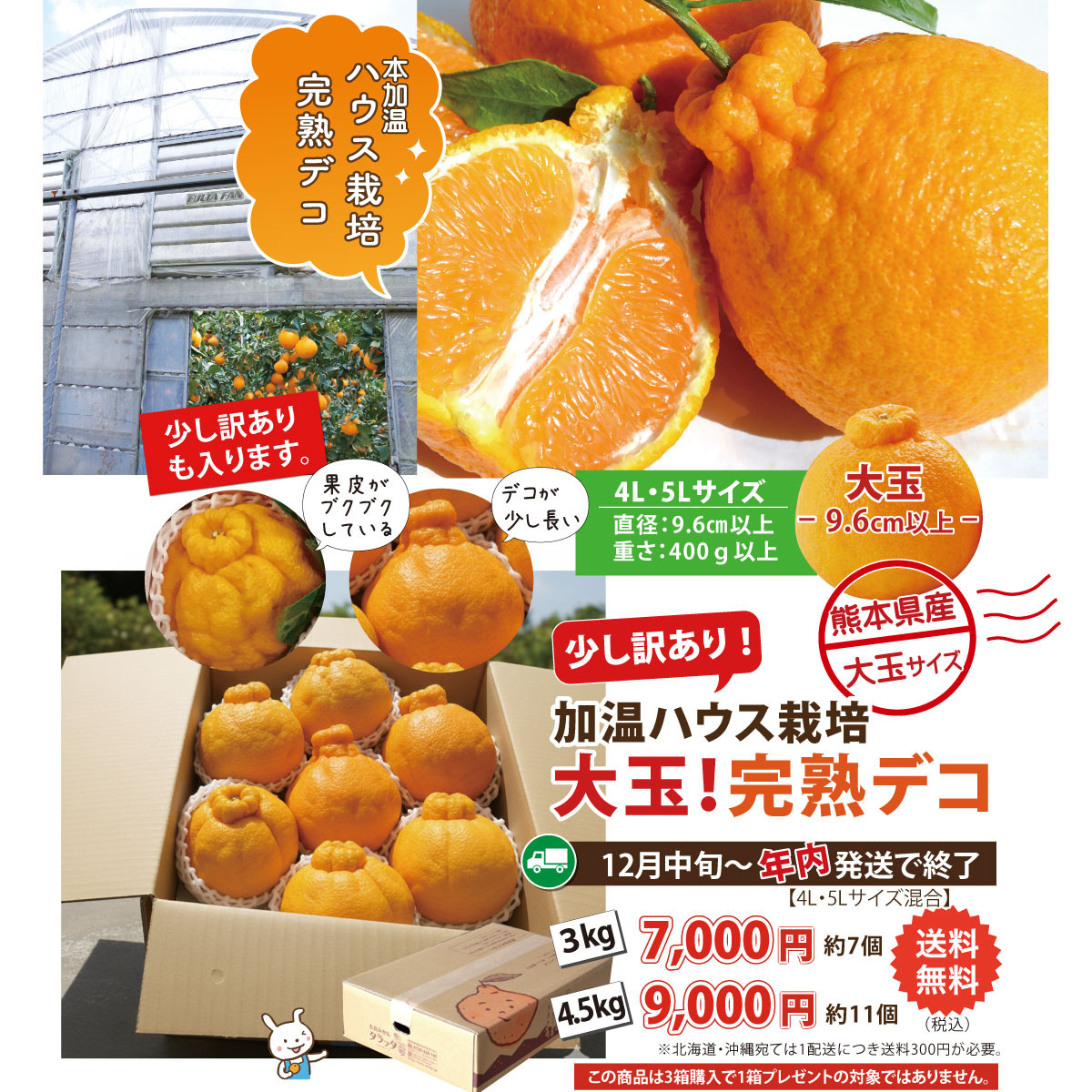 【少し訳あり】★本加温★完熟！ハウスデコ～しらぬい～