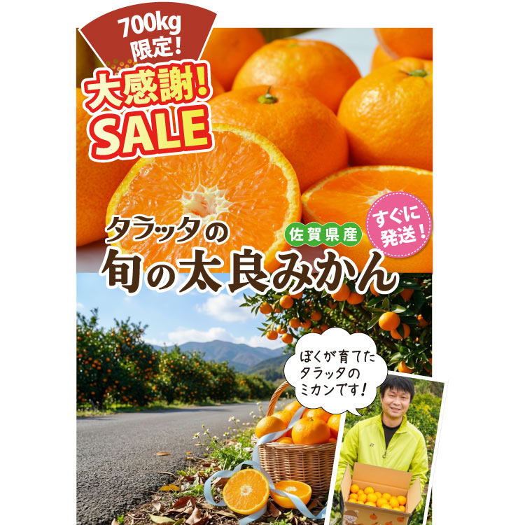 ★新春セール！SALE！★ 【冬の完熟みかん！】タラッタの旬の太良ミカン