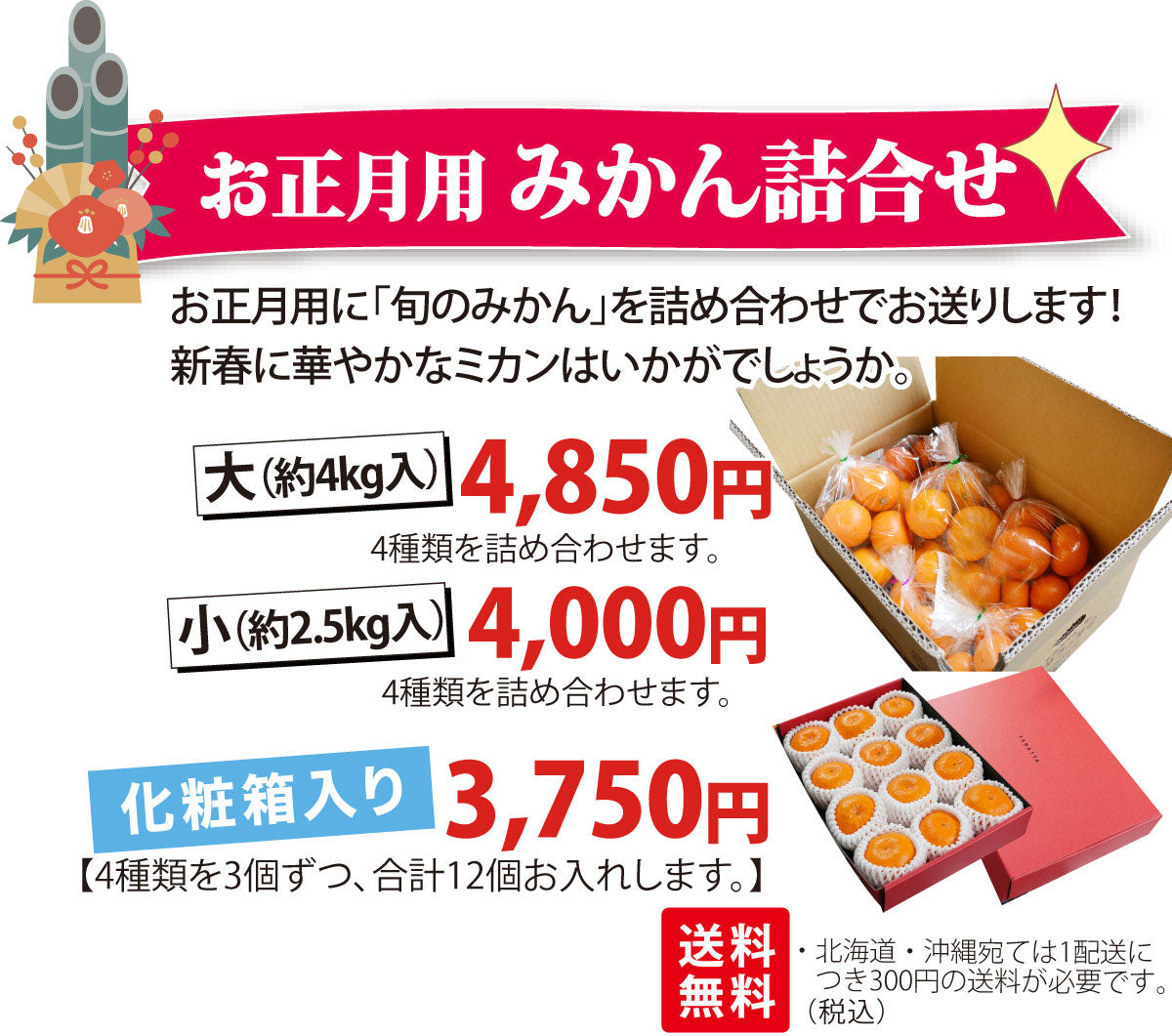 年末にお届け！★お正月用 旬のみかん詰合せ★