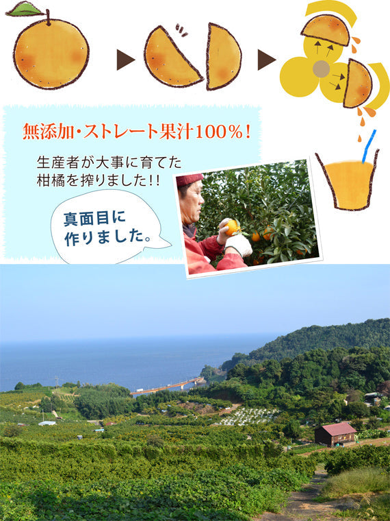 SALE！売り尽くし割引中！！贅沢搾り★みかんジュース （ストレート果汁100％）