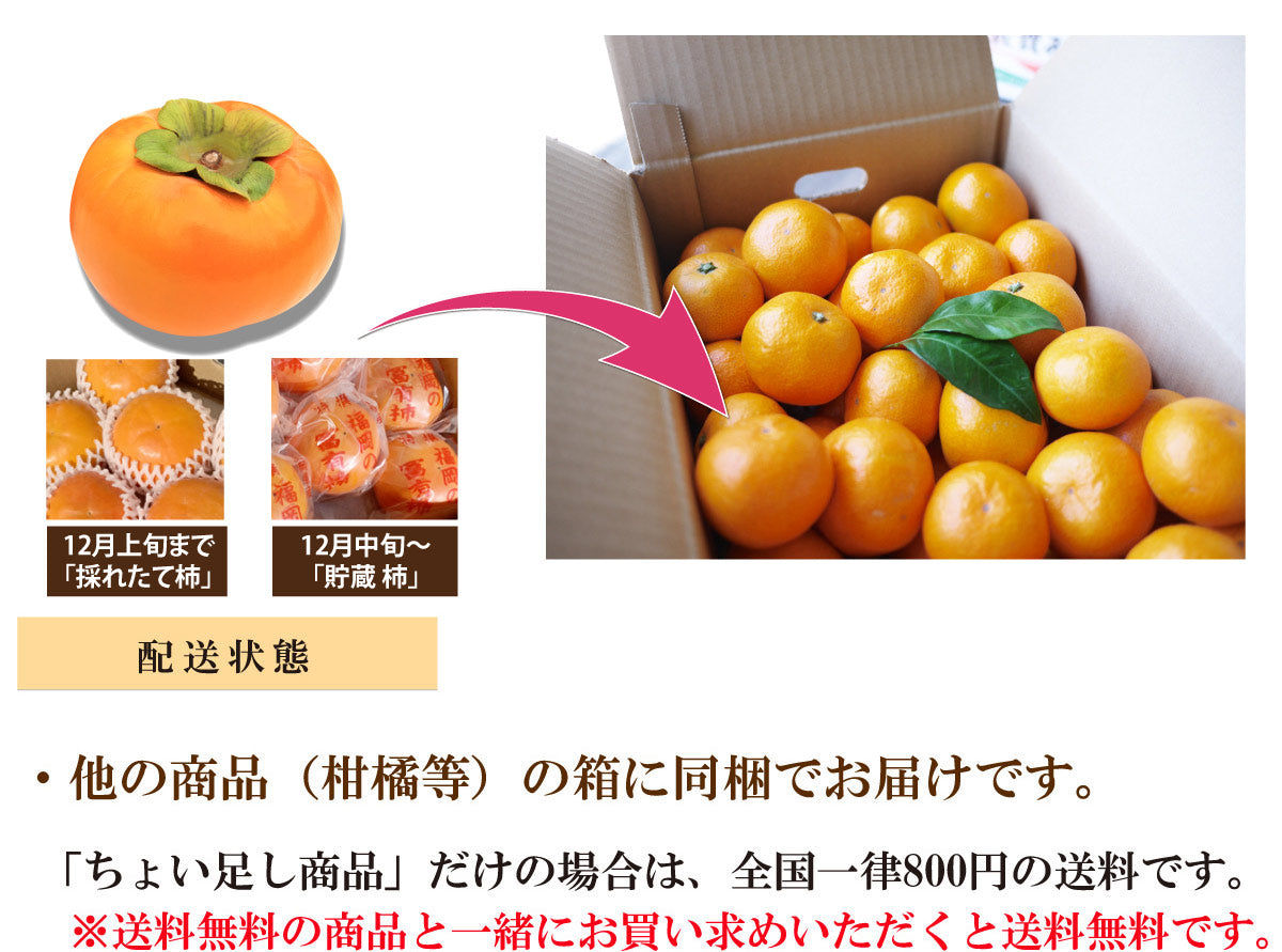 【ちょい足し！送料無料！！】＜柿の王様＞★富有柿 ふゆうがき★