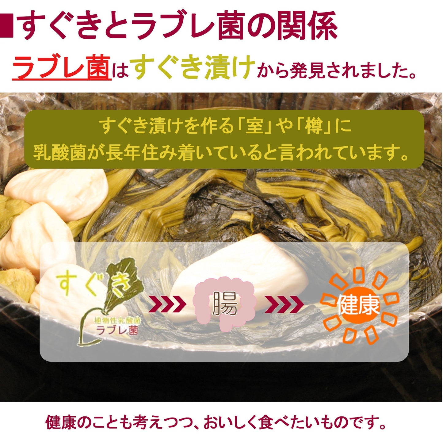 すぐき漬け　1,340g／丸のままのすぐき漬け３個（食べごたえあり）　漬物＞京漬物