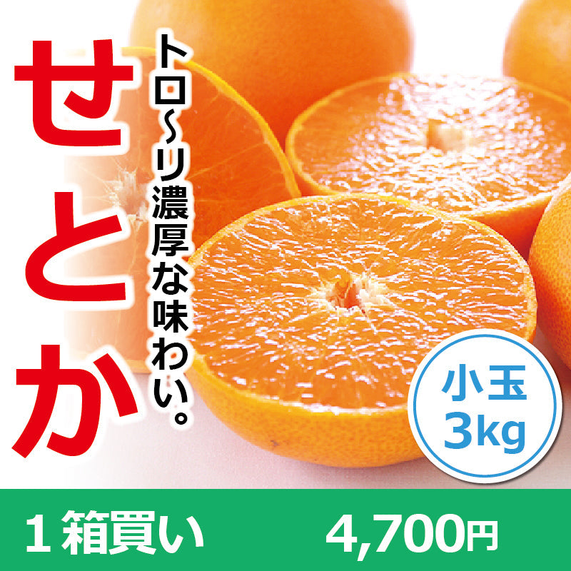 ※今季販売終了※【送料無料】訳あり「小さなせとかちゃん」〈家庭用・小玉〉約3kg　※発送は２月中旬～３月中旬予定