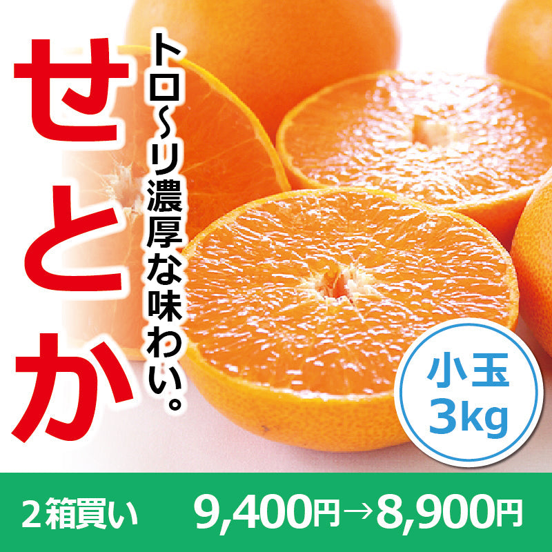 ※今季販売終了※【送料無料】訳あり「小さなせとかちゃん」〈家庭用・小玉〉約3kg　※発送は２月中旬～３月中旬予定