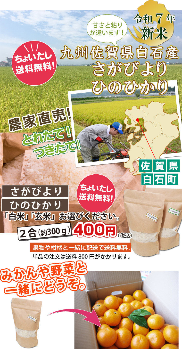 【ちょい足し！送料無料！！】令和7年産 新米（さがびより／ひのひかり）2合 約300ｇ★佐賀県白石産