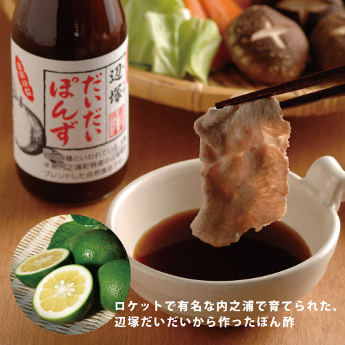 【送料込】寿庵のドレッシング・ソースセット