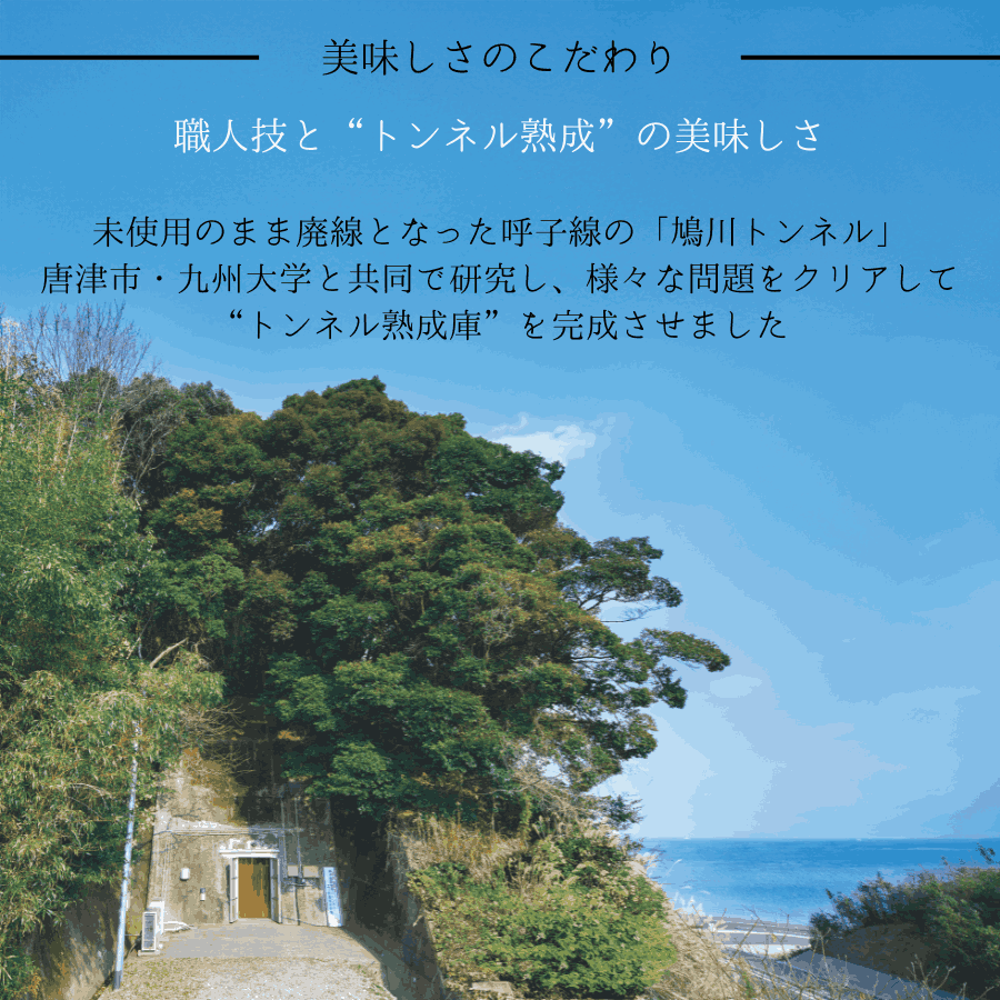 歴代金賞受賞セットB