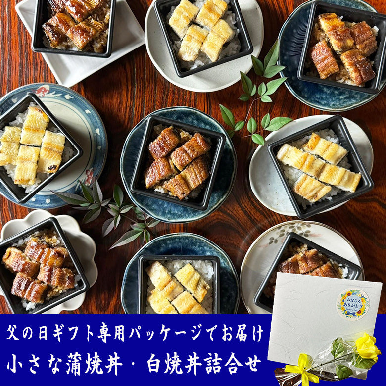 【2025父の日ギフト】 小さな蒲焼丼・白焼丼詰合せ　　FG-CKD2CSD2