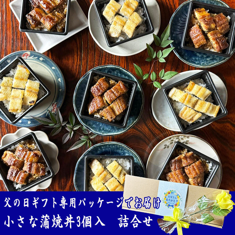 【2025父の日ギフト】 小さな蒲焼丼3個入　　FG-CKD3
