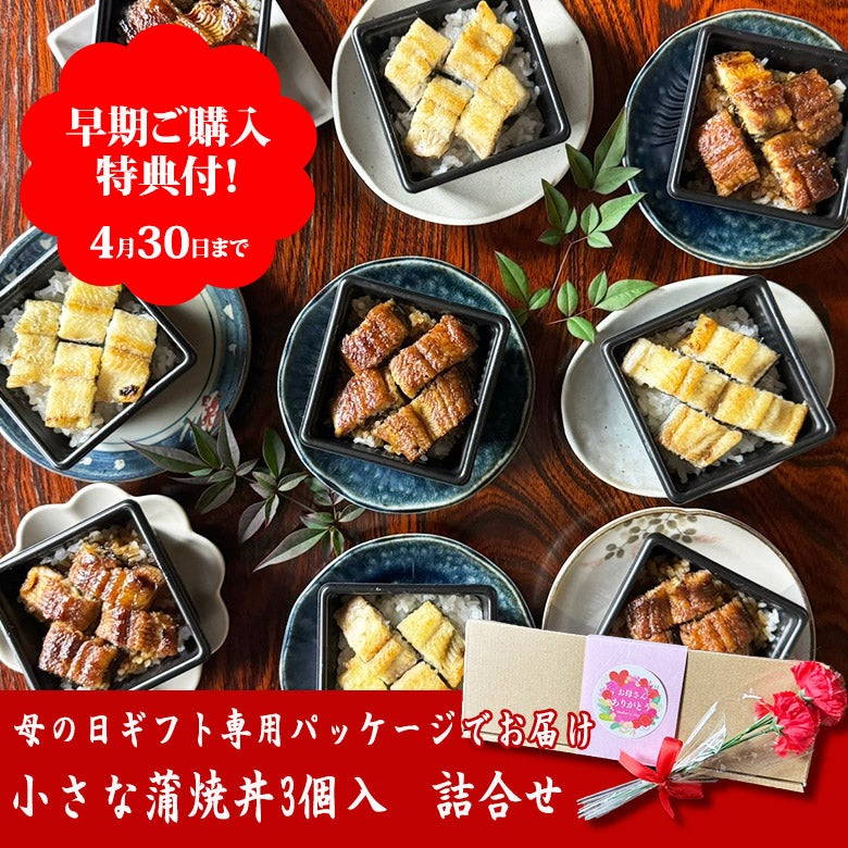 ★早期ご購入特典あり！★【2025母の日ギフト】 小さな蒲焼丼3個入　　MG-CKD3