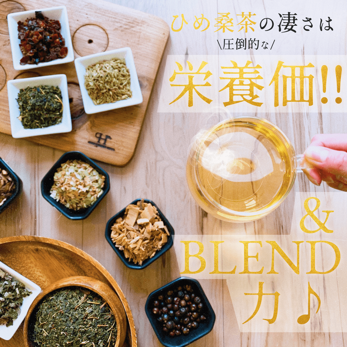 【お徳用・５袋セット】『 水出しひめ桑茶』 冷んやりダイエット　毎日デトックスティー　【送料無料】