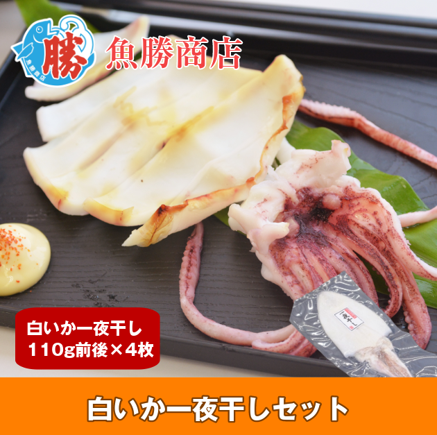 白いか一夜干しセット（110g前後×4枚）送料込