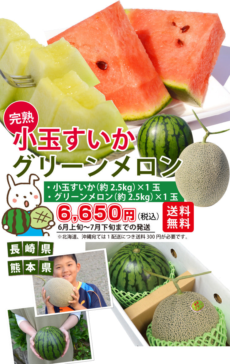 完熟小玉 すいか＆大玉グリーンメロン【約2.5kg×各1玉】＜熊本県産＆長崎県産＞