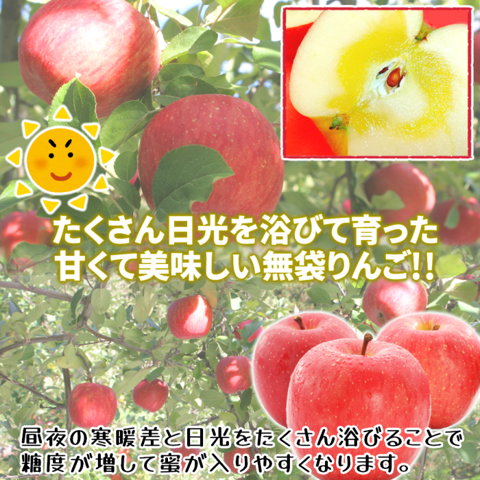 青森県産 家庭用りんご サンふじ 3kg・5kg・10kg【送料込】産地直送 光センサー選果