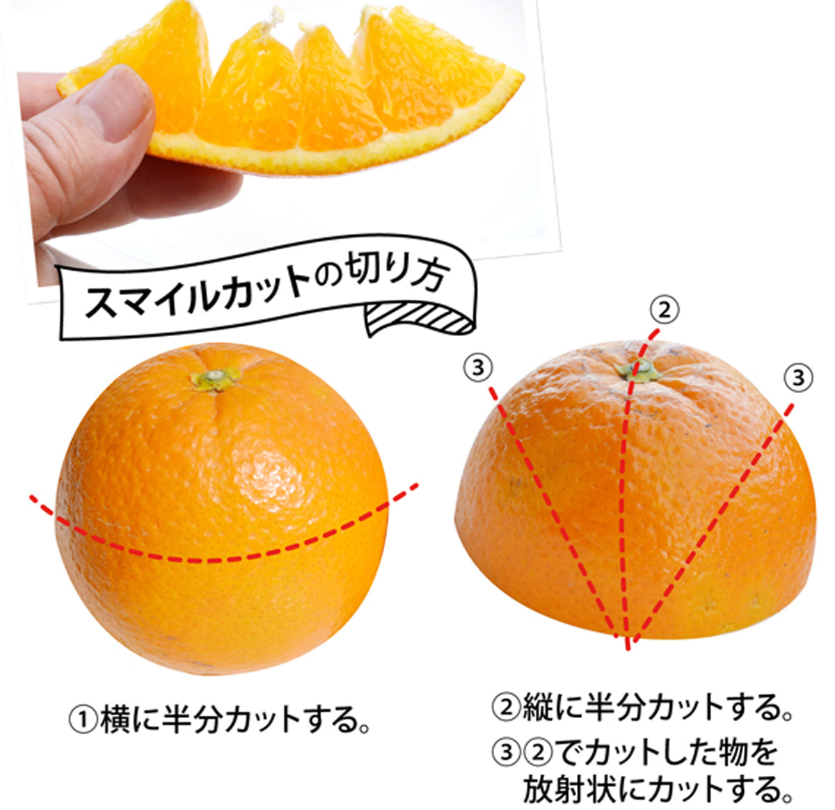 ＼甘くて！香りが良くて！美味しい！／★ネーブルオレンジ＜熊本県宇土産＞