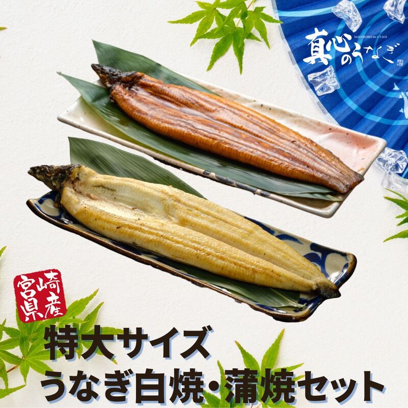 【宮崎県産】うなぎ白焼・蒲焼セット　土用の丑の日　御中元　国産鰻　送料無料【鮮魚・魚介類】