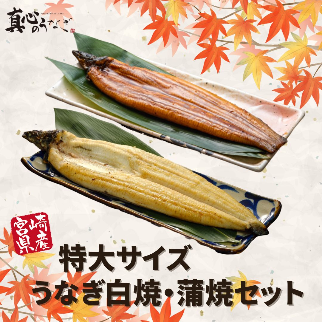 【宮崎県産】うなぎ白焼・蒲焼セット　お歳暮　国産鰻　送料無料【鮮魚・魚介類】