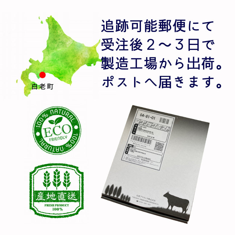 【5月7~13日ポイント7倍】【フェースマスク】「アヨロのピリカマスク」５枚入 送料無料