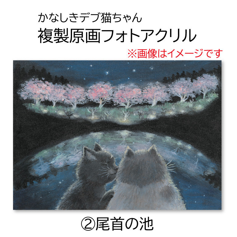 かなしきデブ猫ちゃん 複製原画フォトアクリル（アクリルマウント） 「しもなだ駅」
