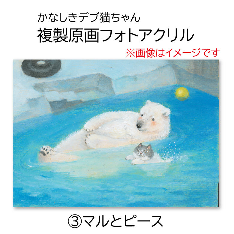 かなしきデブ猫ちゃん 複製原画フォトアクリル（アクリルマウント） 「しもなだ駅」