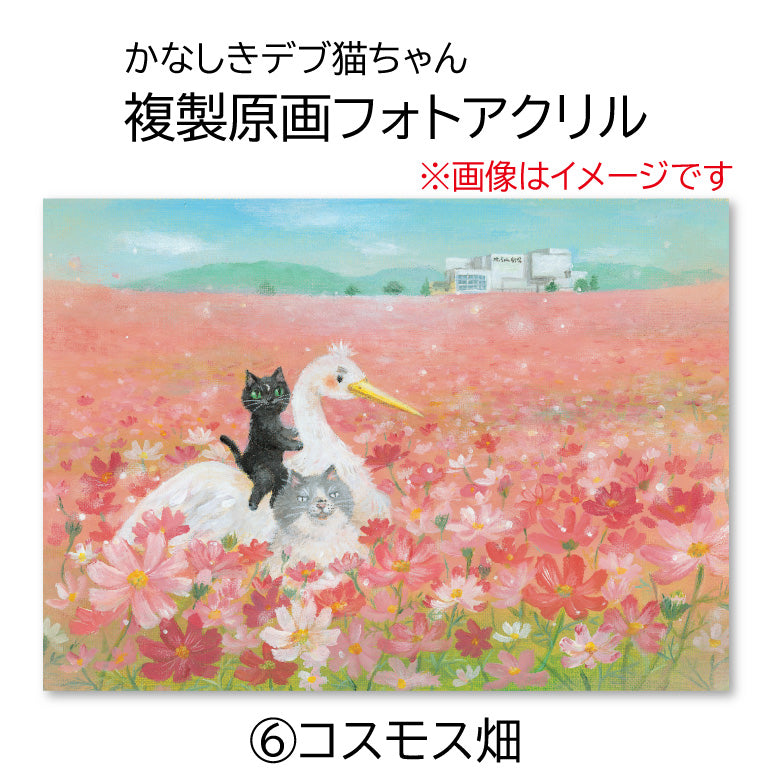 かなしきデブ猫ちゃん 複製原画フォトアクリル（アクリルマウント） 「しもなだ駅」
