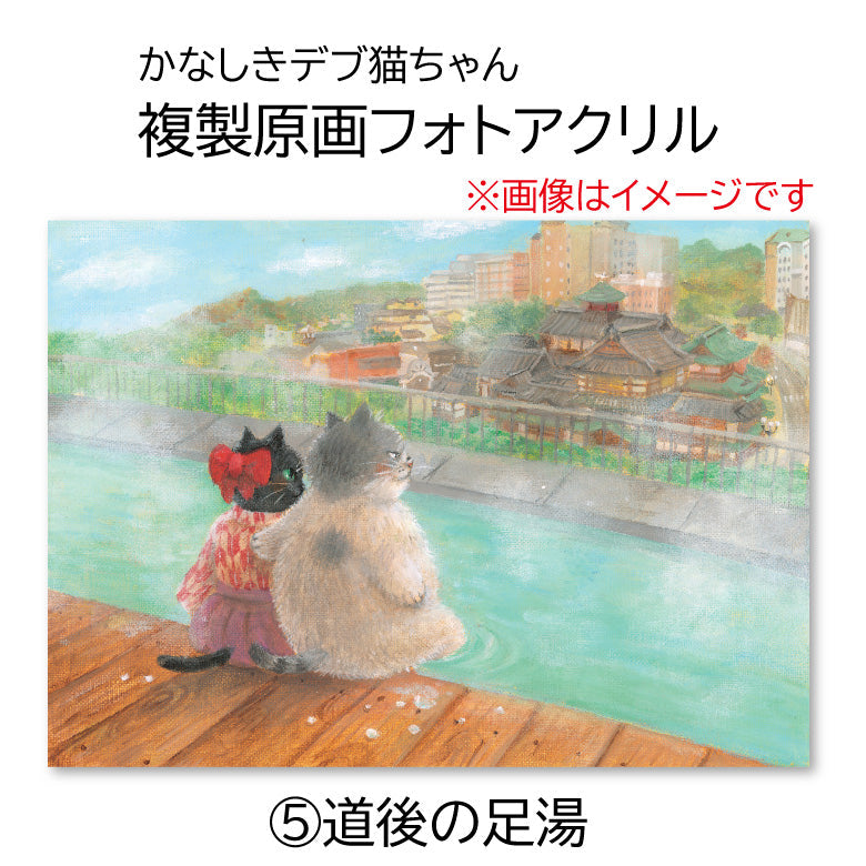 かなしきデブ猫ちゃん 複製原画フォトアクリル（アクリルマウント） 「しもなだ駅」
