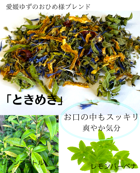 【送料無料・ネコポス便】愛媛かんきつのおひめ様ブレンドハーブティー3種セット　「いろどり」「やすらぎ」「ときめき」