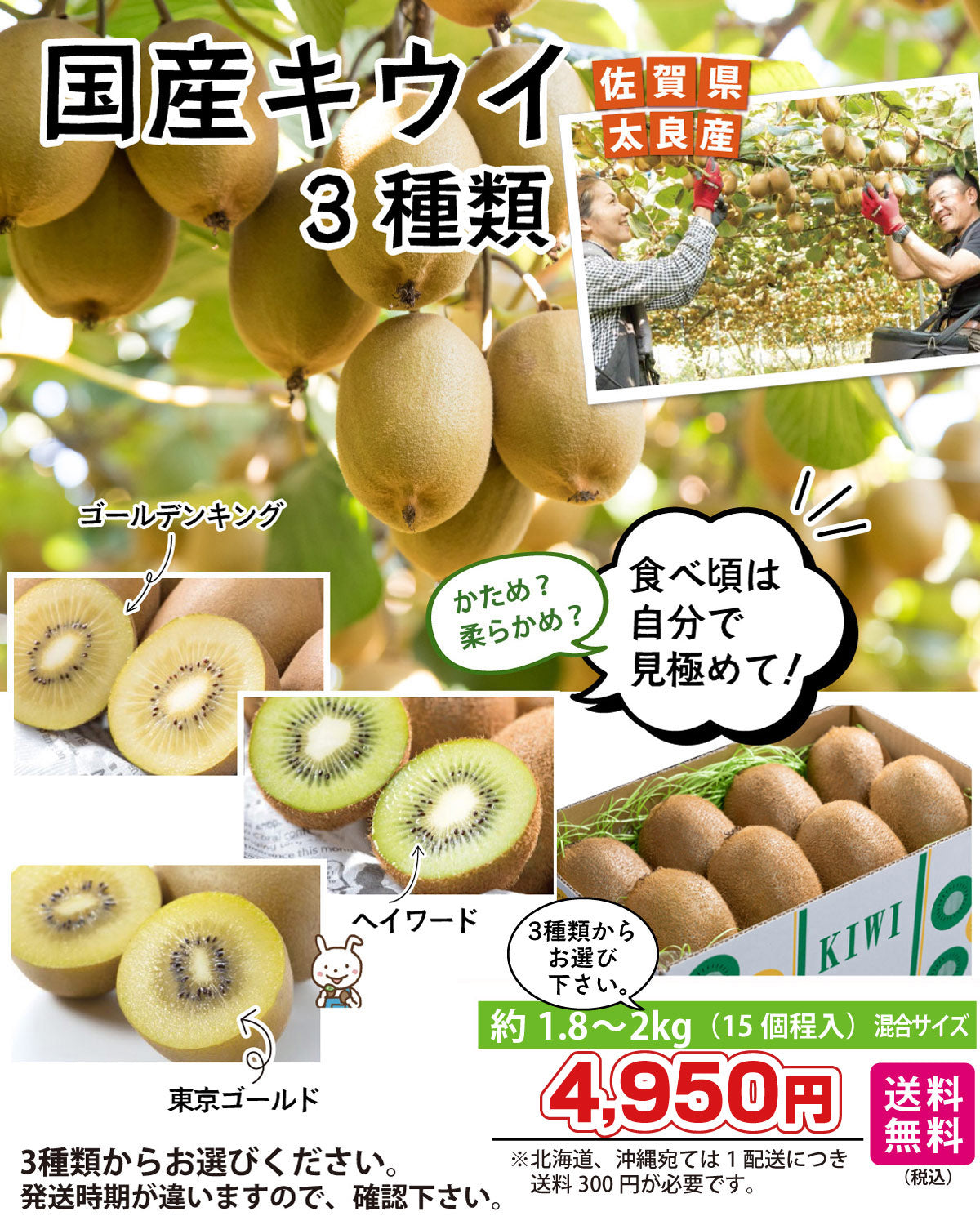＜キウイがお好きな方に♪＞★佐賀県太良町産 キウイ 約2kg(15個程)★3種類