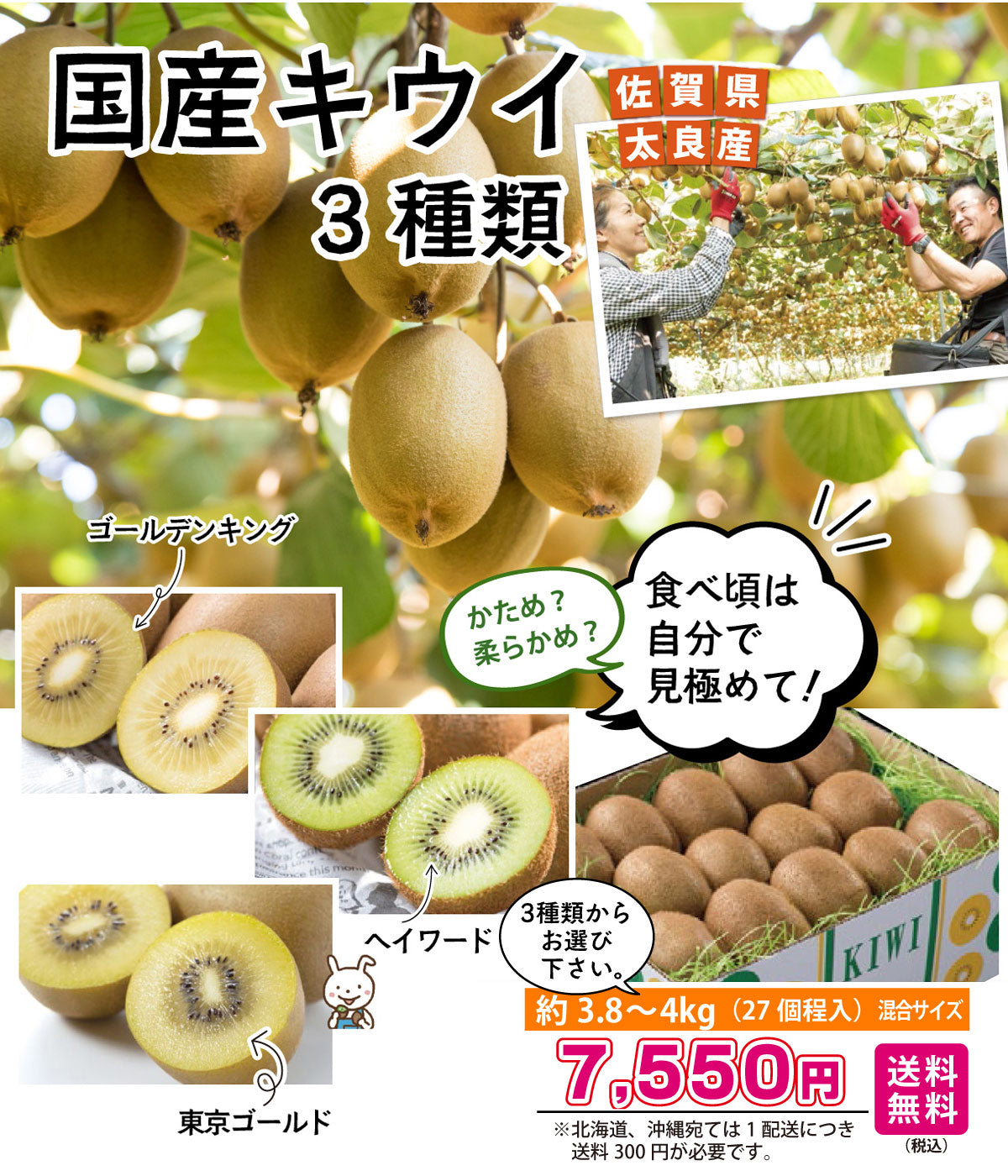 ＜キウイがお好きな方に♪＞佐賀県太良町産★国産キウイ 約4kg(27個程)★3種類