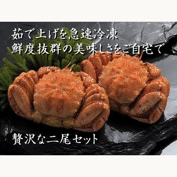 北海道産 毛蟹800g(400g2尾)（送料無料 ※沖縄は別途）