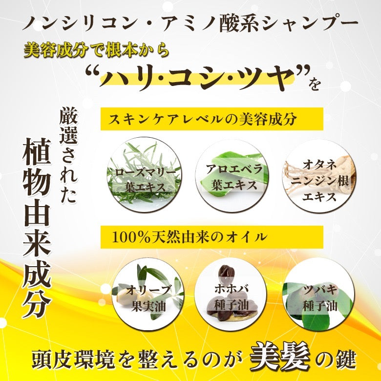 ハリ･コシ･潤いシャンプー/トリートメント「ピュアフラーレエクストラシャンプーセット」