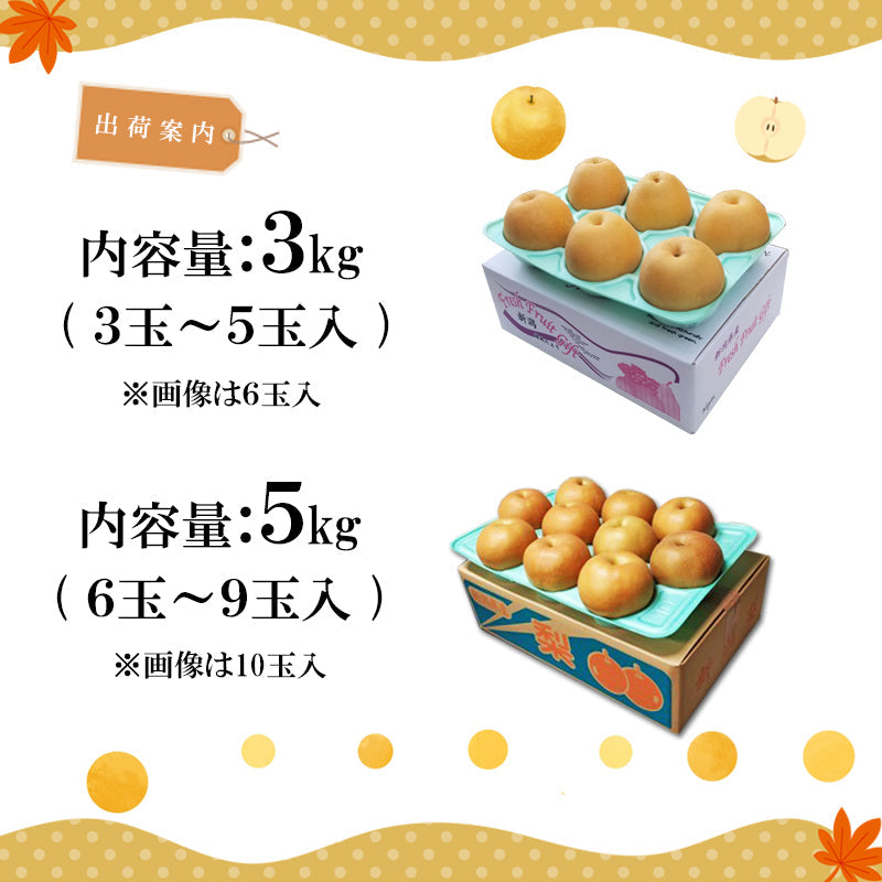 【申込期間は10/20迄】【送料込】梨 新潟市産 新高（にいたか）3㎏～ 白根 大郷の梨 海鮮問屋 見田元七商店