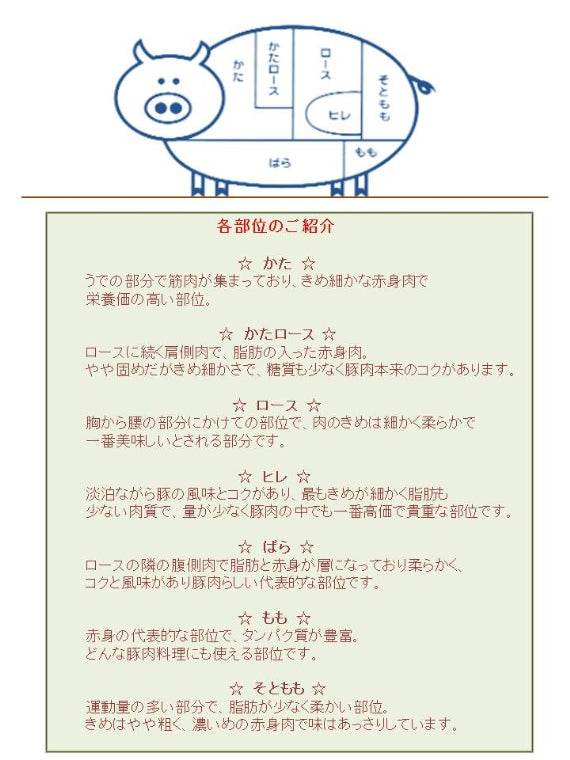 【送料無料】白金豚・愛のファミリーパック（カタロース5）