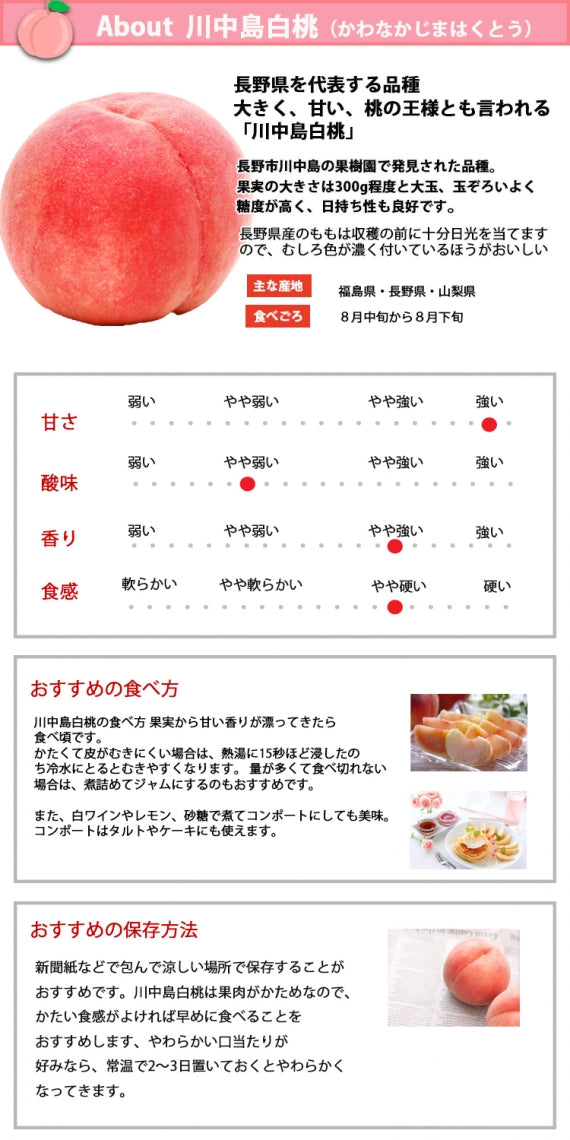 【販売期間外】【送料無料】川中島白桃(桃) ※山梨県産は８月上旬、長野県産は8月中旬（お盆明け）より順次発送※期日指定不可【お中元2025】【フルーツ】