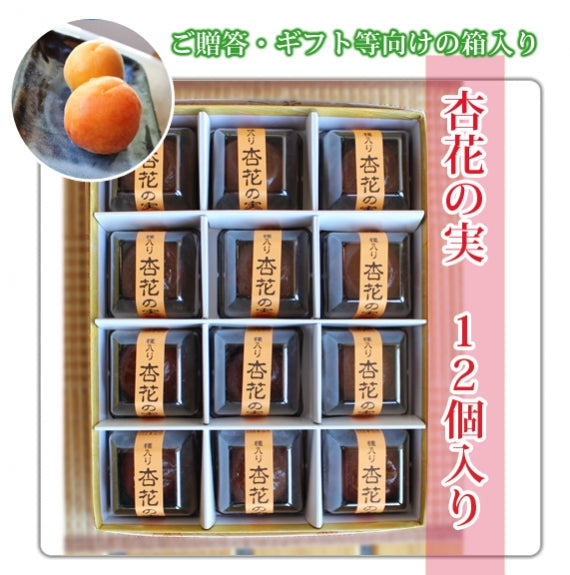【杏丸ごと！秘伝の蜜！】【信州産】大人気！！◆杏花の実12個入り　数量限定◆【和菓子】
