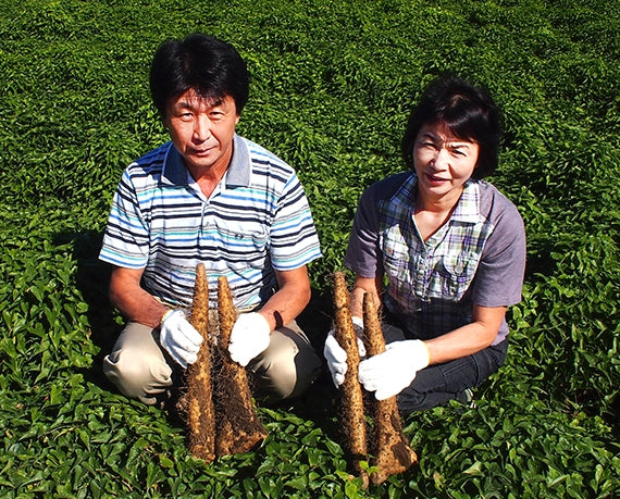 生産農家直送　大和芋（開き、土付き）正味２キロ