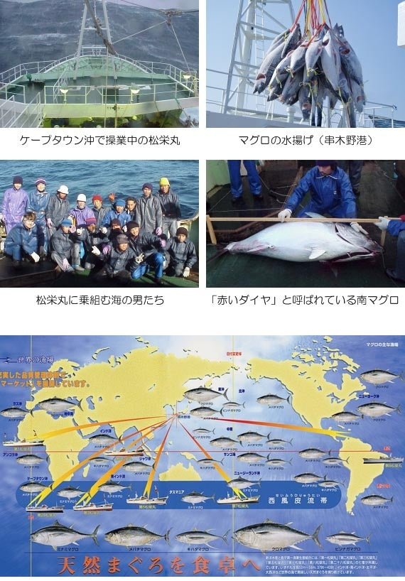 【マグロ漁船直販】高級本マグロ中トロとメバチマグロのセット ★送料無料★ 【鮮魚・魚加工品】【ギフト・熨斗対応可】