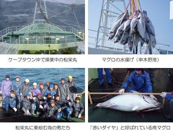 【マグロ漁船直販】メバチマグロ赤身セット【鮮魚・魚加工品】【ギフト・熨斗対応可