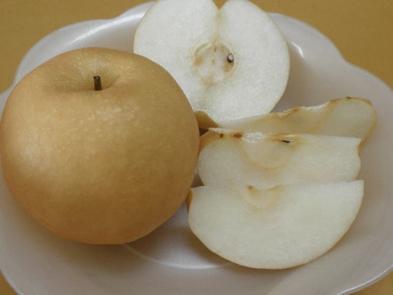 「岡山特産「日本最大級の梨」あたご梨(ジャンボ梨）3個～6個　【お歳暮2025】【フルーツ】発送は、１１月下旬から。