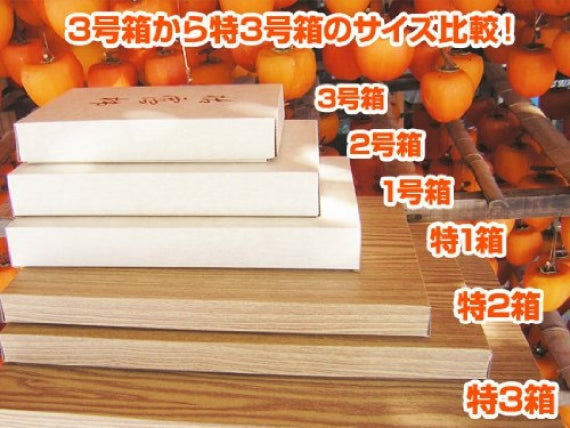 山梨県産 甲州百目 枯露柿（干し柿）3号箱 6～9個入り 28【地域限定送料込】【配送日は指定できません】