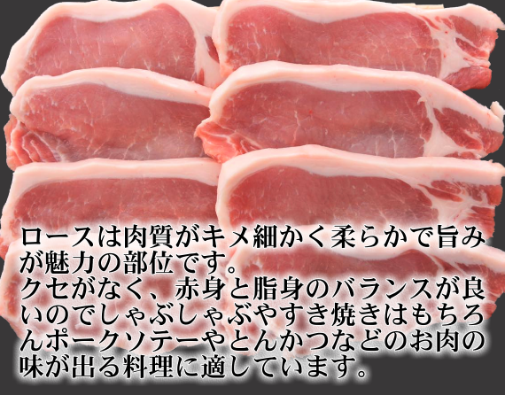 栃木県産ヤシオポーク匠ロースみそ漬100g×8枚【送料込み】