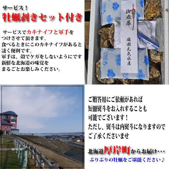 厚岸産 殻付き牡蠣（Ｌサイズ）　20個入　カキナイフ付き（送料無料）