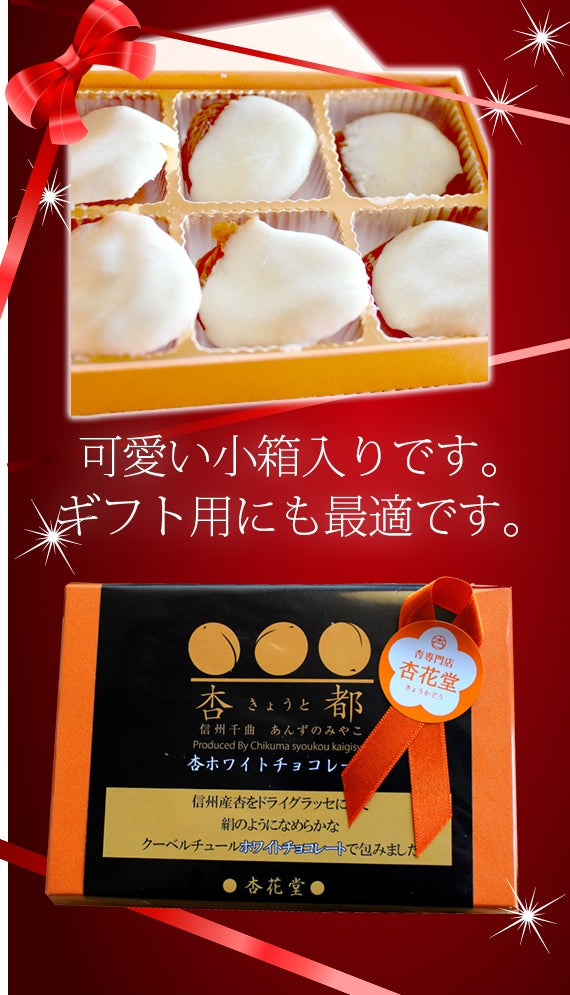 【期間限定１０月～３月販売】フルーツ洋菓子部門★チョコレート部門★人気ランキング1位獲得！【杏専門店が作る大人の杏ホワイトチョコレート】【スイーツ】