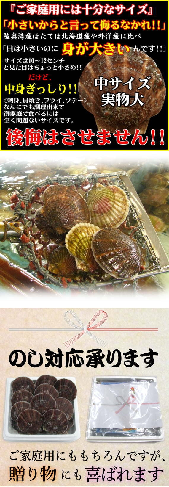 【送料無料】青森県むつ湾産 最高級活ほたて Lサイズ6kg（42枚～60枚）剥きへら付【のし対応】【カニ・鮮魚・魚介類】