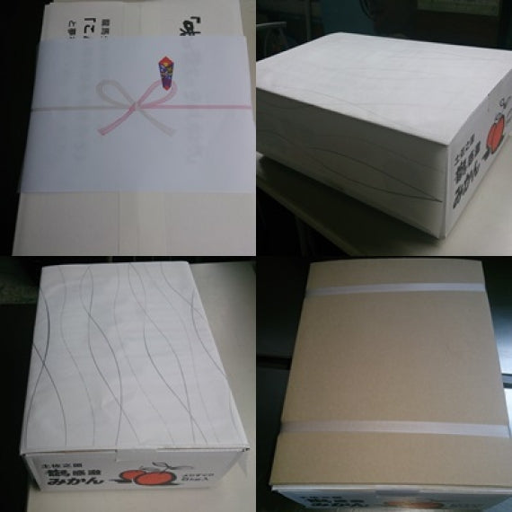 ★ミカン好きに大好評！【龍馬感激みかん(R)こつぶちゃん】（5kg箱）小さな体にギュッと美味しさが詰まってます！送料無料(一部地域を除く）！ギフトにもどうぞ、【レギュラー選別】【フルーツ】