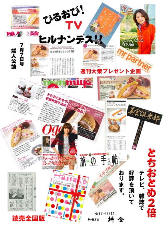 全国の地方新聞社夏スイーツ2015「大品評会」１位獲得！生どら焼き　塩れもん　5個入り