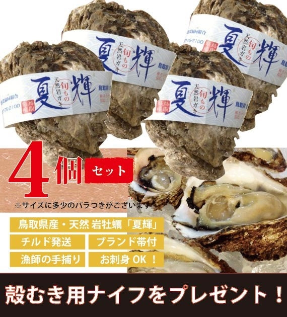 【極上ブランド「夏輝」】【天然の岩牡蠣】　漁師が素潜りで獲った天然岩牡蠣「夏輝」帯付　4個セット