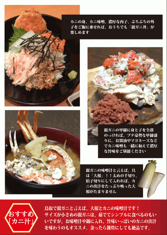 松葉ガニ漁解禁！　親ガニ（セコガニ）5枚セット【生／茹で】