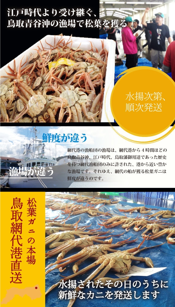 松葉ガニ漁解禁！　松葉ガニ　特大サイズ約1kg タグ付【生／茹で】
